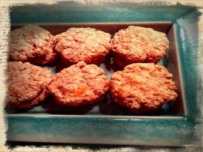 gluten free coconut apricot oatmeal cookies